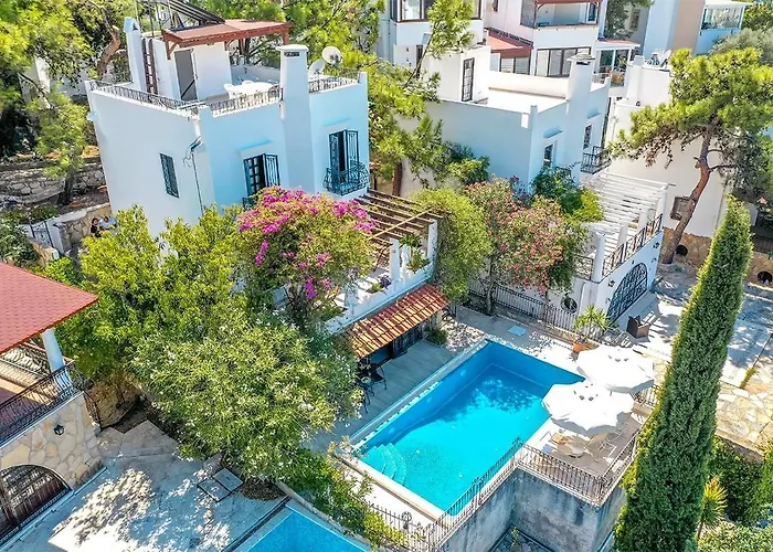 Villa Leila Private Pool