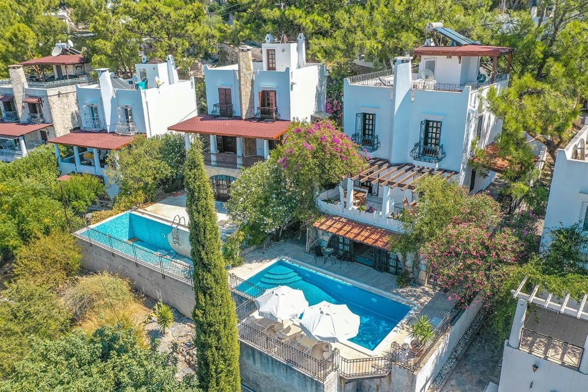 Villa Leila Private Pool